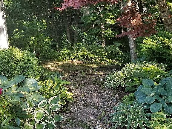 4th image of 3016 Tamarak Dr