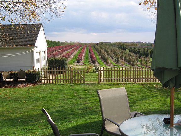 Backyard dining with vistas's