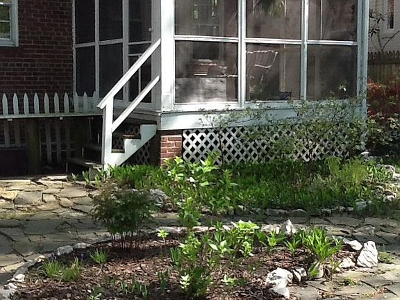 Back porch and garden