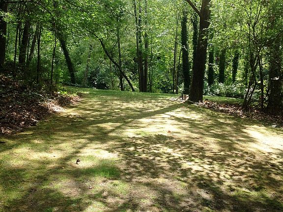 back yard lawns for whatever