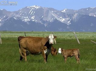 230 Bear Ln, Cotopaxi, CO 81223