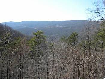 5th image of 843 Brushy Ridge Rd