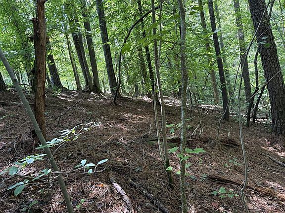 5th image of 1707 Rebekah Ridge Rd