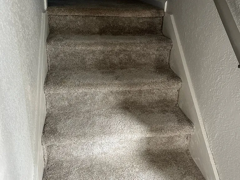 145 La Vista Ln — Photo 8