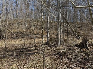 464 Butcher Hollow Rd, Ravenswood, WV 26164