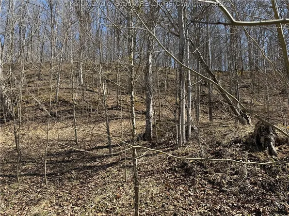 464 Butcher Hollow Rd, Ravenswood, WV 26164