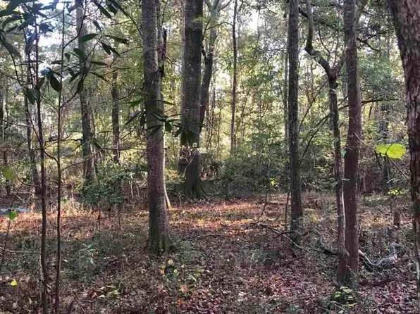 Pineview St, Darlington, SC 29532