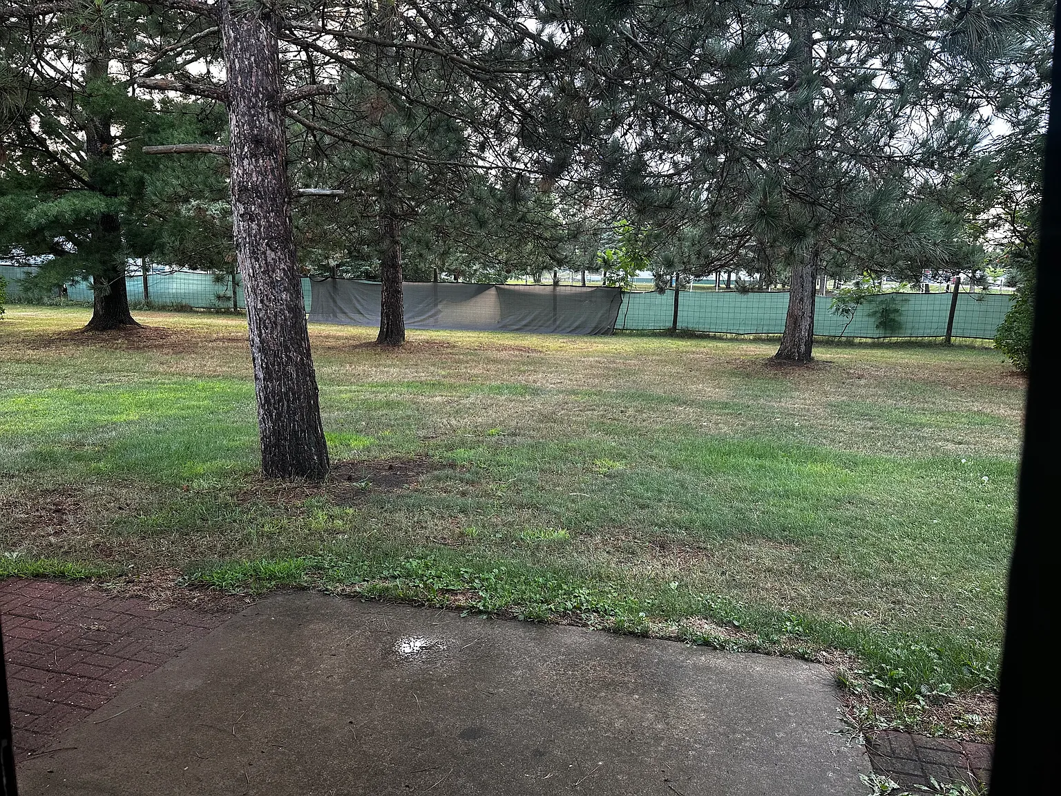 2 bed, 1.5 bath, $1,300 — Photo 2