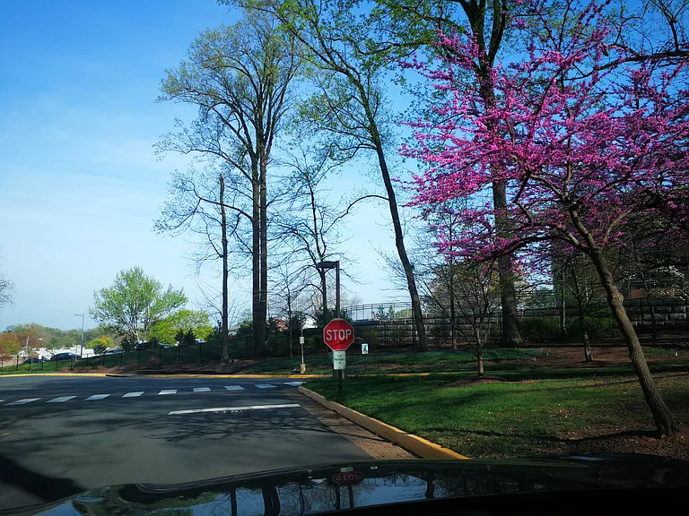 Old Meadow Rd — Photo 3