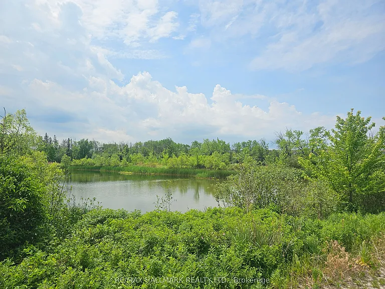 65 Riley Reed Ln — Photo 41