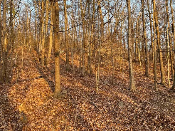 Drummer Hill Rd, Front Royal, VA 22630