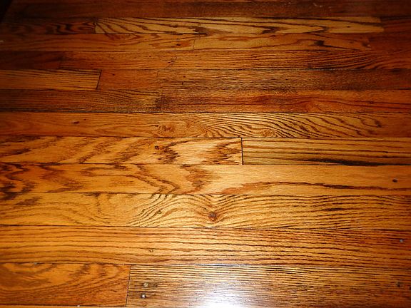 Gorgeous refinished hardwood