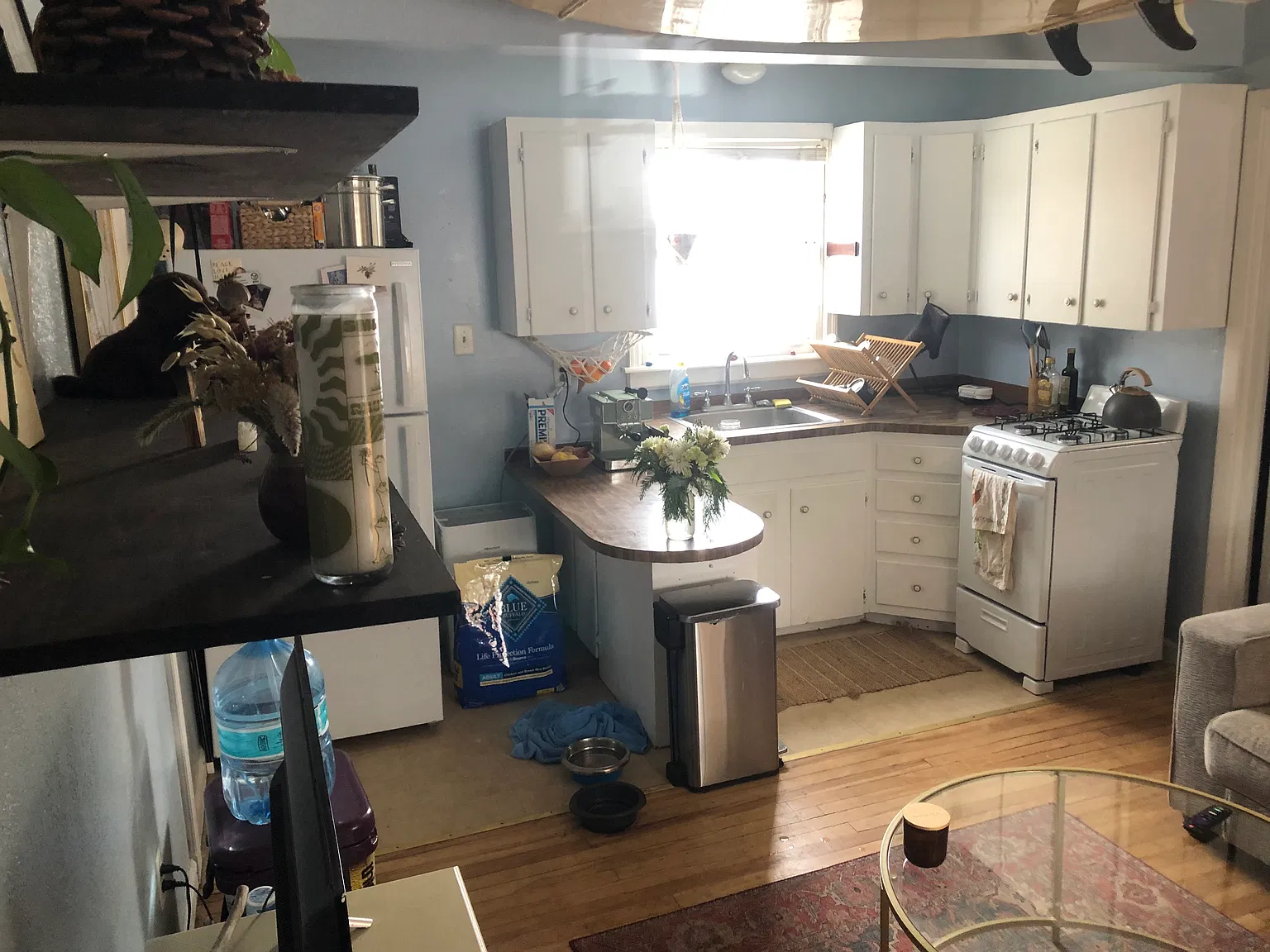 1 bed, 250 sqft, $900 — Photo 1