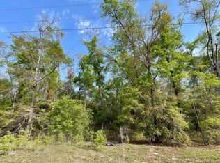 LOT 30 218th Ter, O'Brien, FL 32071