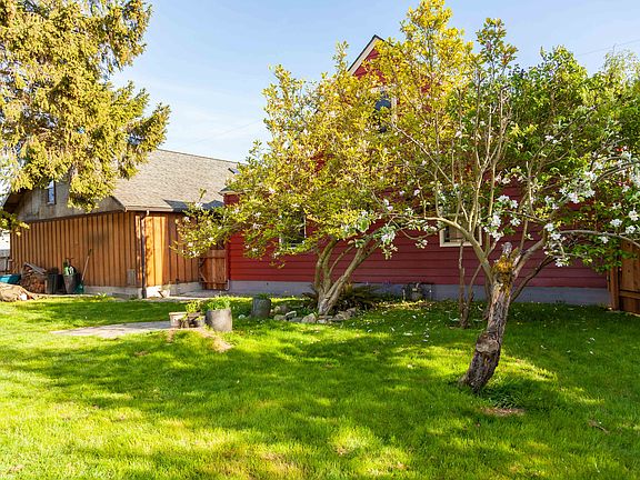 Apple and magnolia trees