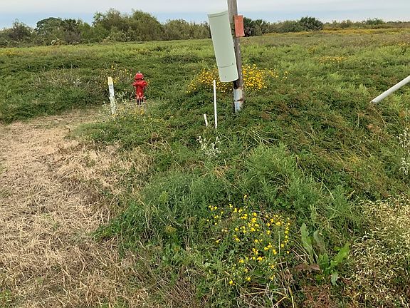 5th image of 1381 Highway 87