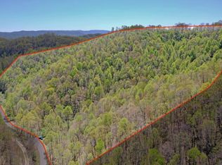 9 Panther Branch Rd, Cedar Bluff, VA 24609