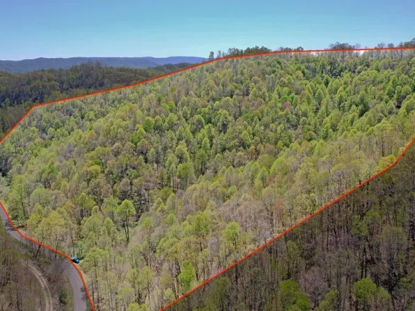 9 Panther Branch Rd, Cedar Bluff, VA 24609