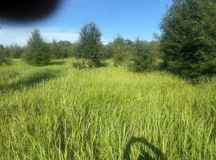 Welcome Rd LOT 1, Lithia, FL 33547