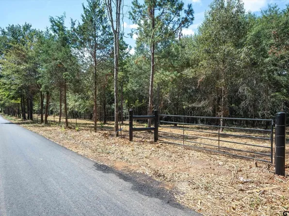 TRACT 1 County Road 484, Mineola, TX 75773