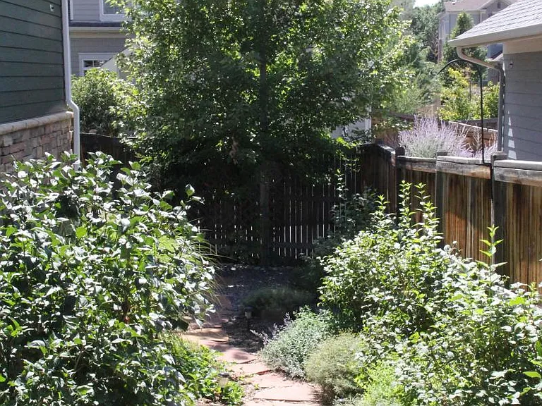 Yard 2