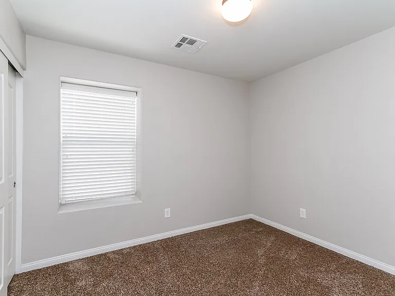 137 Cracked Tree Ave — Photo 12