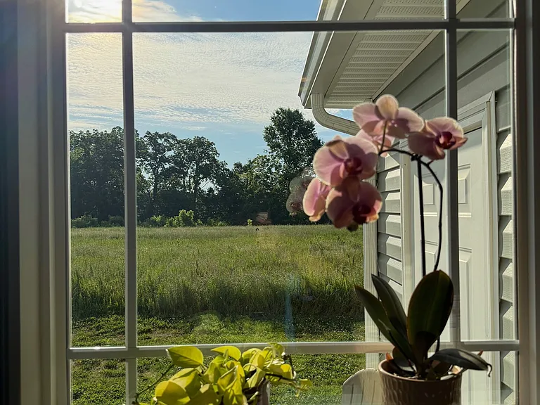 You can enjoy this beautiful view from the kitchen window.