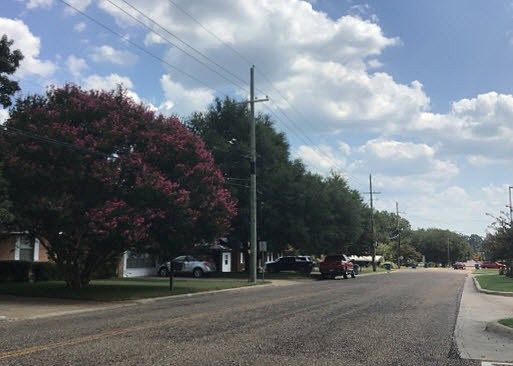 4th image of 311 E Magnolia Dr
