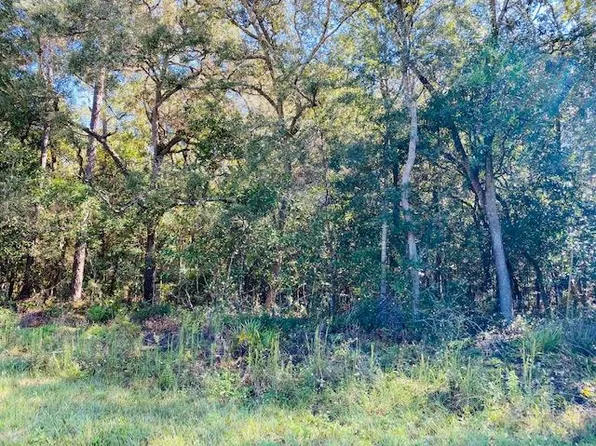 NW 90th Ave, Chiefland, FL 32626