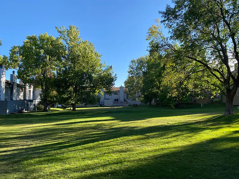 Community park.