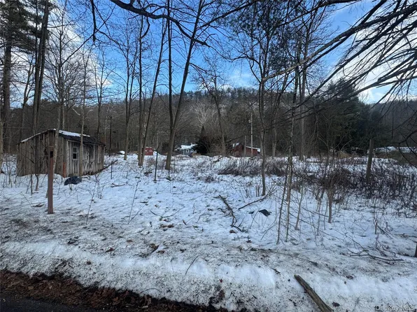 6-8 Grove Street, Godeffroy, NY 12729