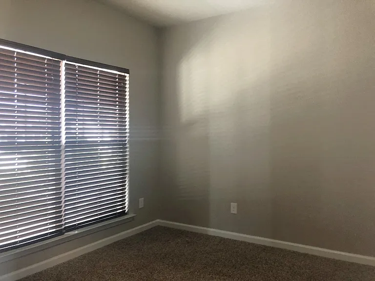 131 Cryptomeria Way — Photo 4