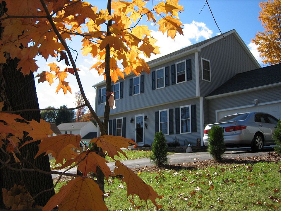 Sugar Maple View