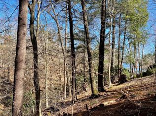 199 Lentz Landing Ln #20, Nebo, NC 28761