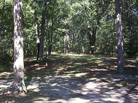 back woods