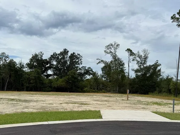 199 Kiera Ct, Wewahitchka, FL 32465