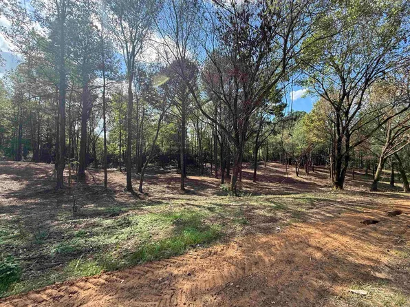 0 County Road 1123, Vinemont, AL 35179