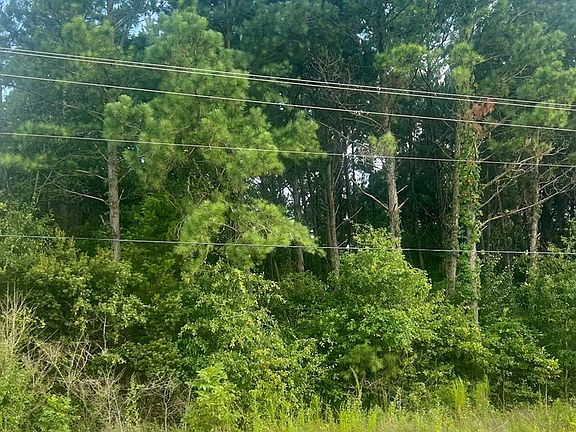 2nd image of County Road 33 Greenbrier Farms S D Lot 16
