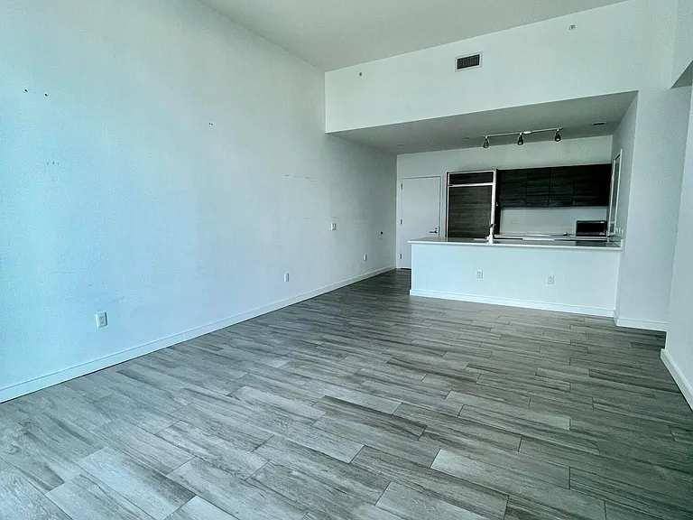 1100 S Miami Ave #4209 — Photo 3