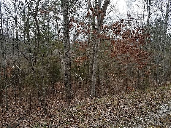 3rd image of 509 Windsor Ln