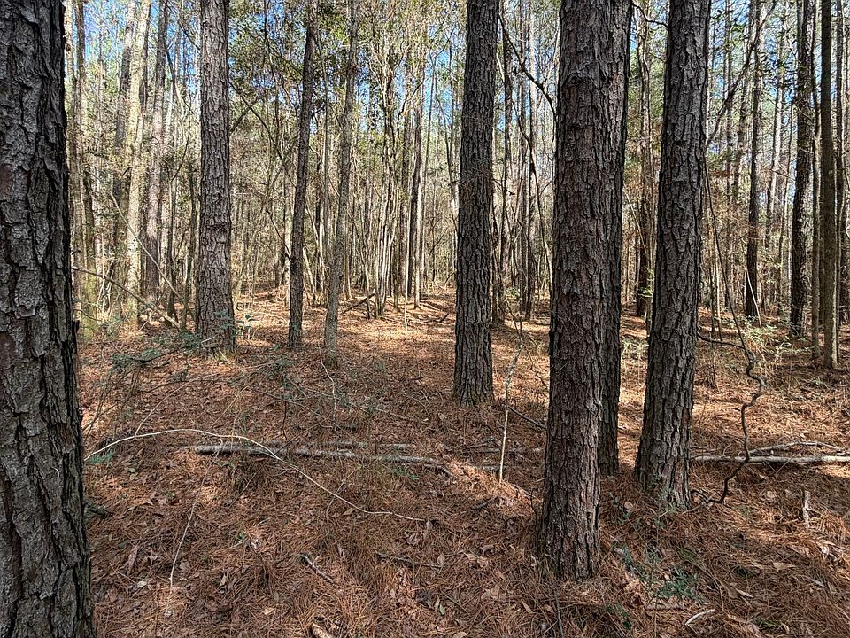 1st image of 0 Tiger Dr