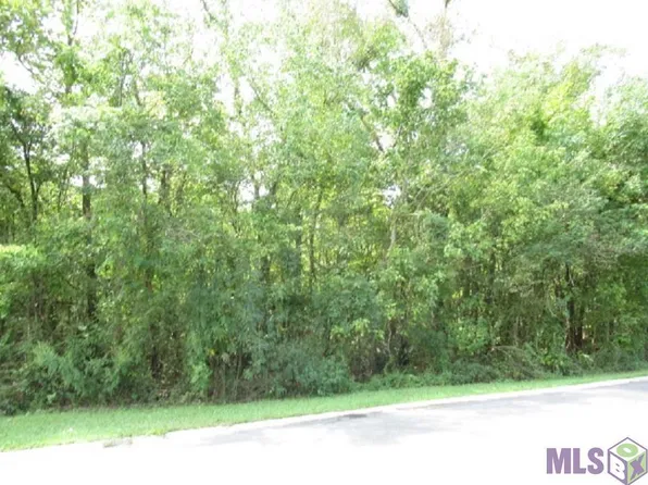 118 River Highlands St, Holden, LA 70744