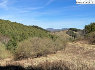 104 Deer Path Rd, Crumpler, NC 28617