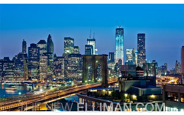 Sold by Douglas Elliman | media 32