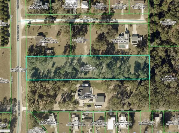 MONDON HILL ROAD, BROOKSVILLE, FL 34601
