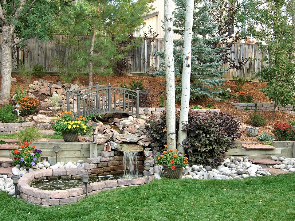 Summertime in the backyard!