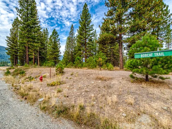 503 Redtail Loop Rd, Clio, CA 96106