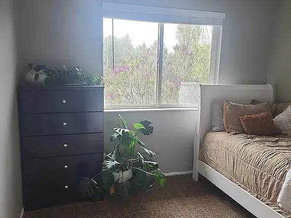 514 Pinecone Dr — Photo 9