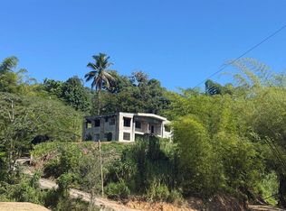 Carr 10 Km 43.3 Bo Salto Abajo Sector Greaulau, Utuado, PR 00641