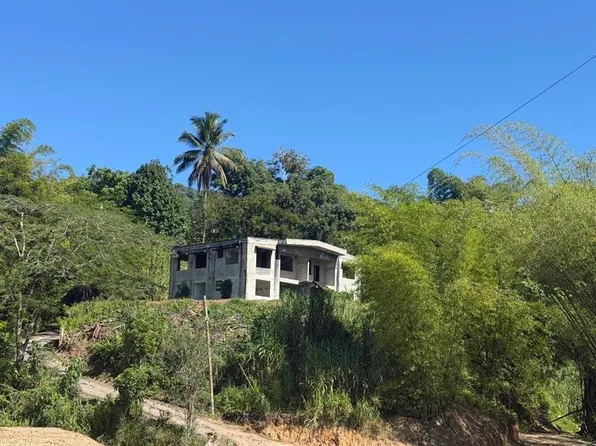CARR 10 KM 43.3 BO SALTO ABAJO, SECTOR GREAULAU, UTUADO, PR 00641